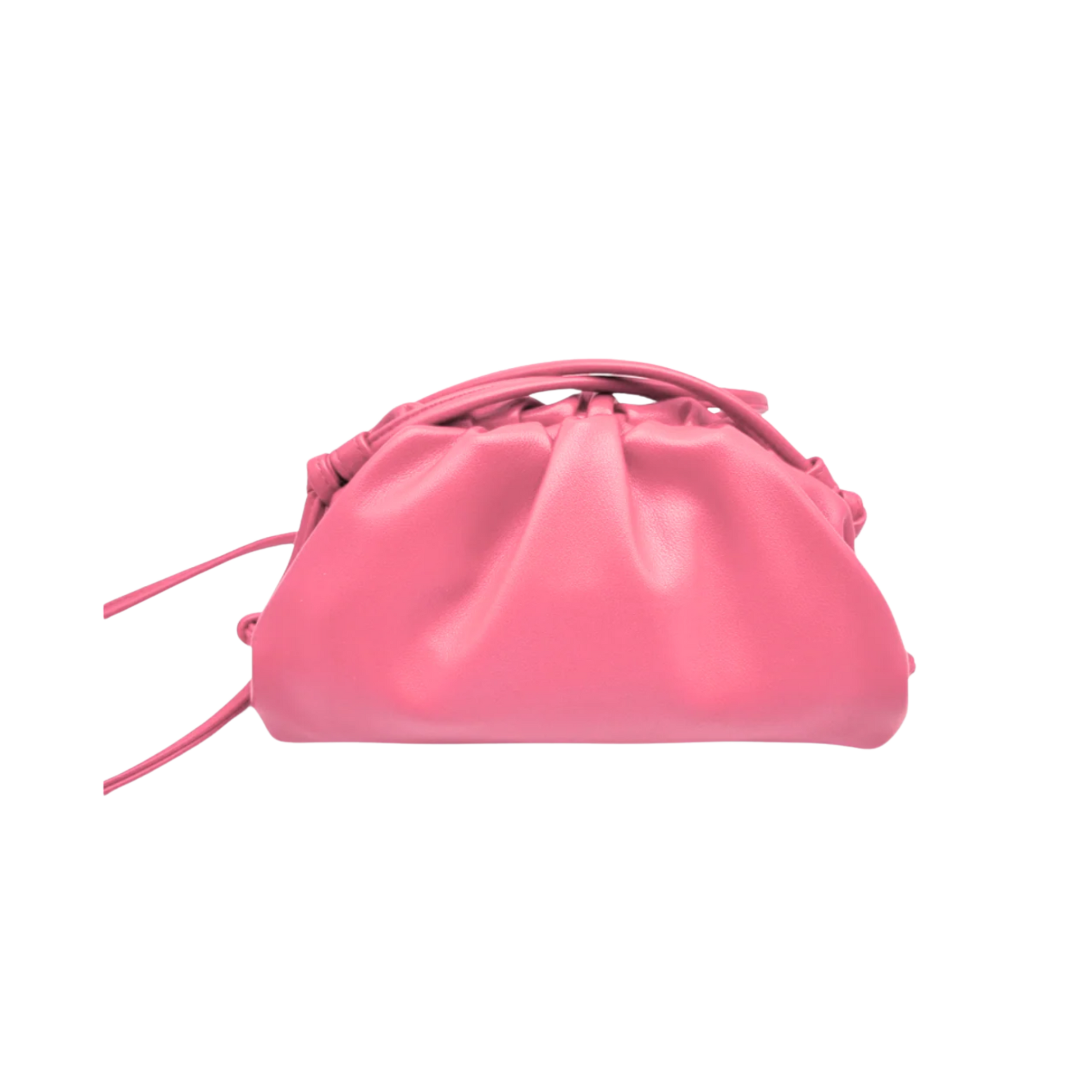 DUMPLING ROSA